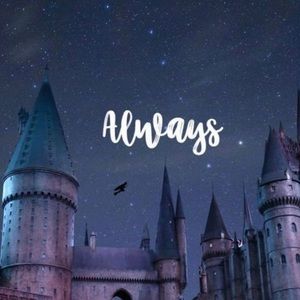 Meet your Posher, Lily